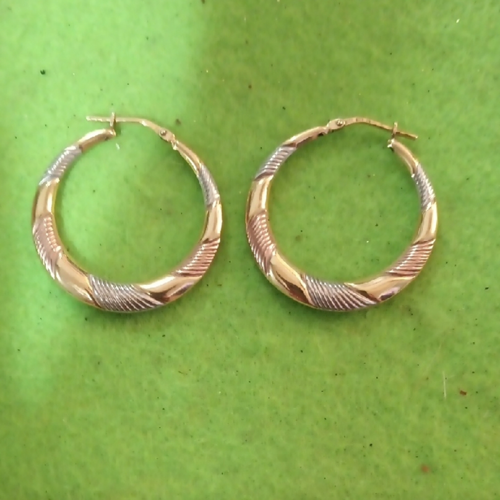 Elegant Gold and Silver Hoop Earrings